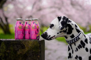 Smoothie pour chien Sweet Summer 250Ml