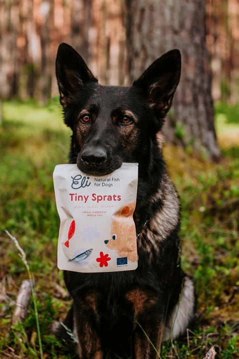 Gâteries pour chiens 100% naturelles aux sprats séchés