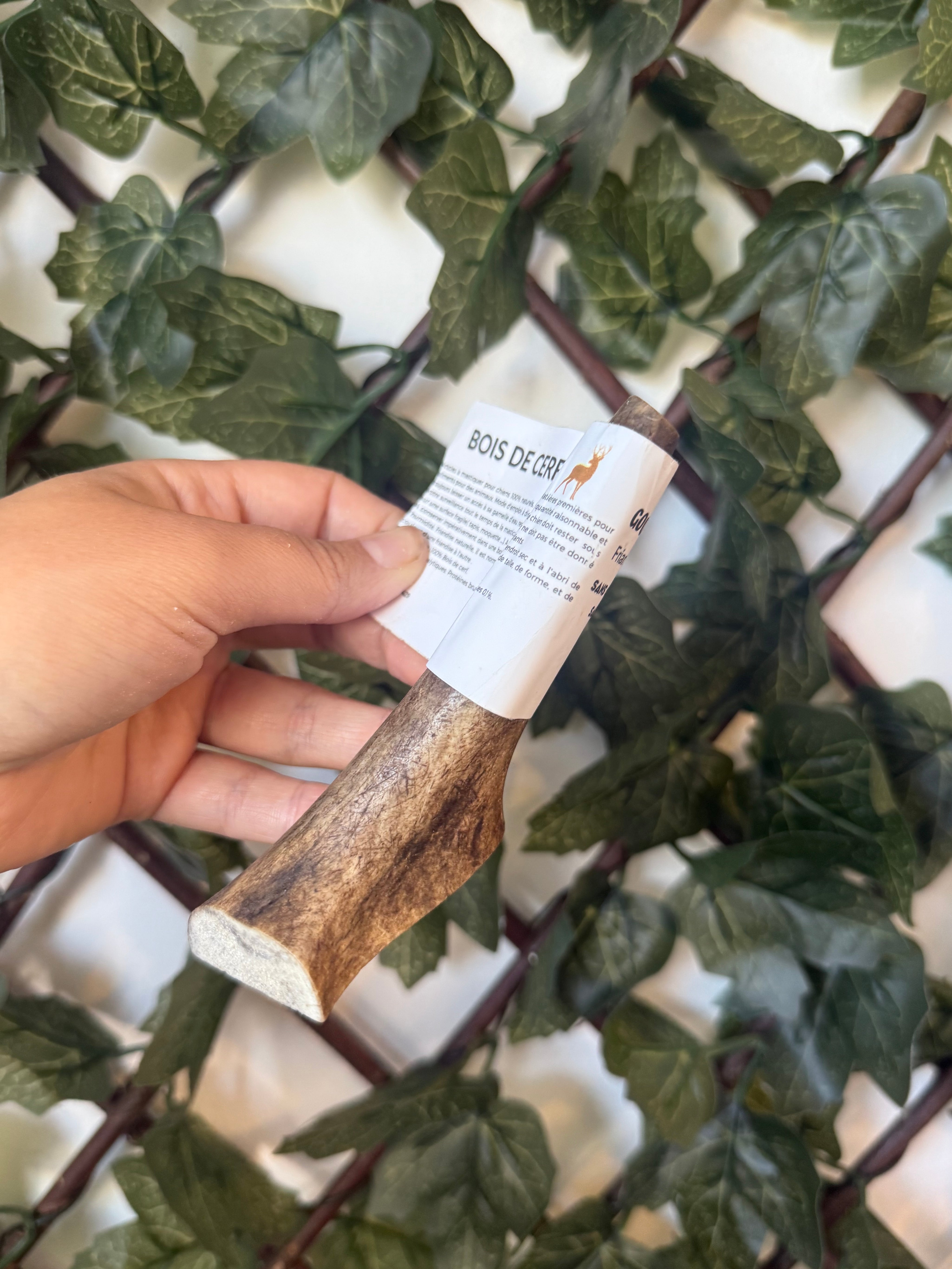Bois de cerf tranché XS – Easy 🦌