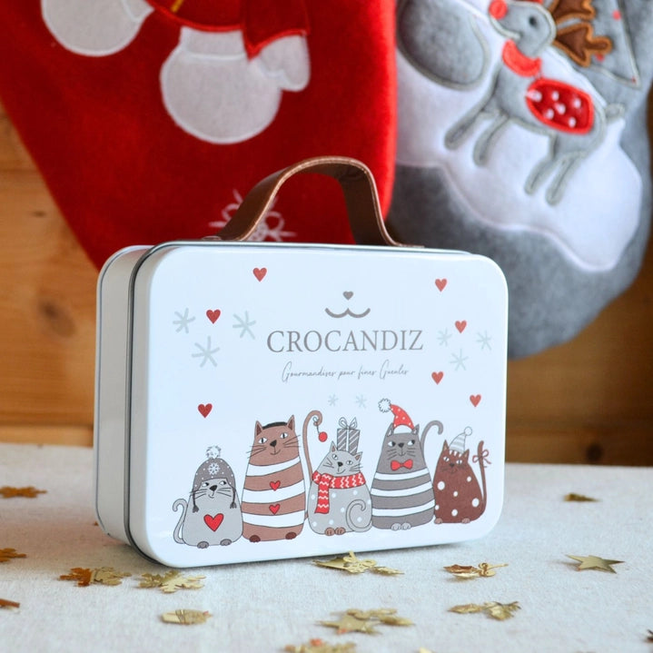 Biscuits pour chat, friandises, cadeau noël