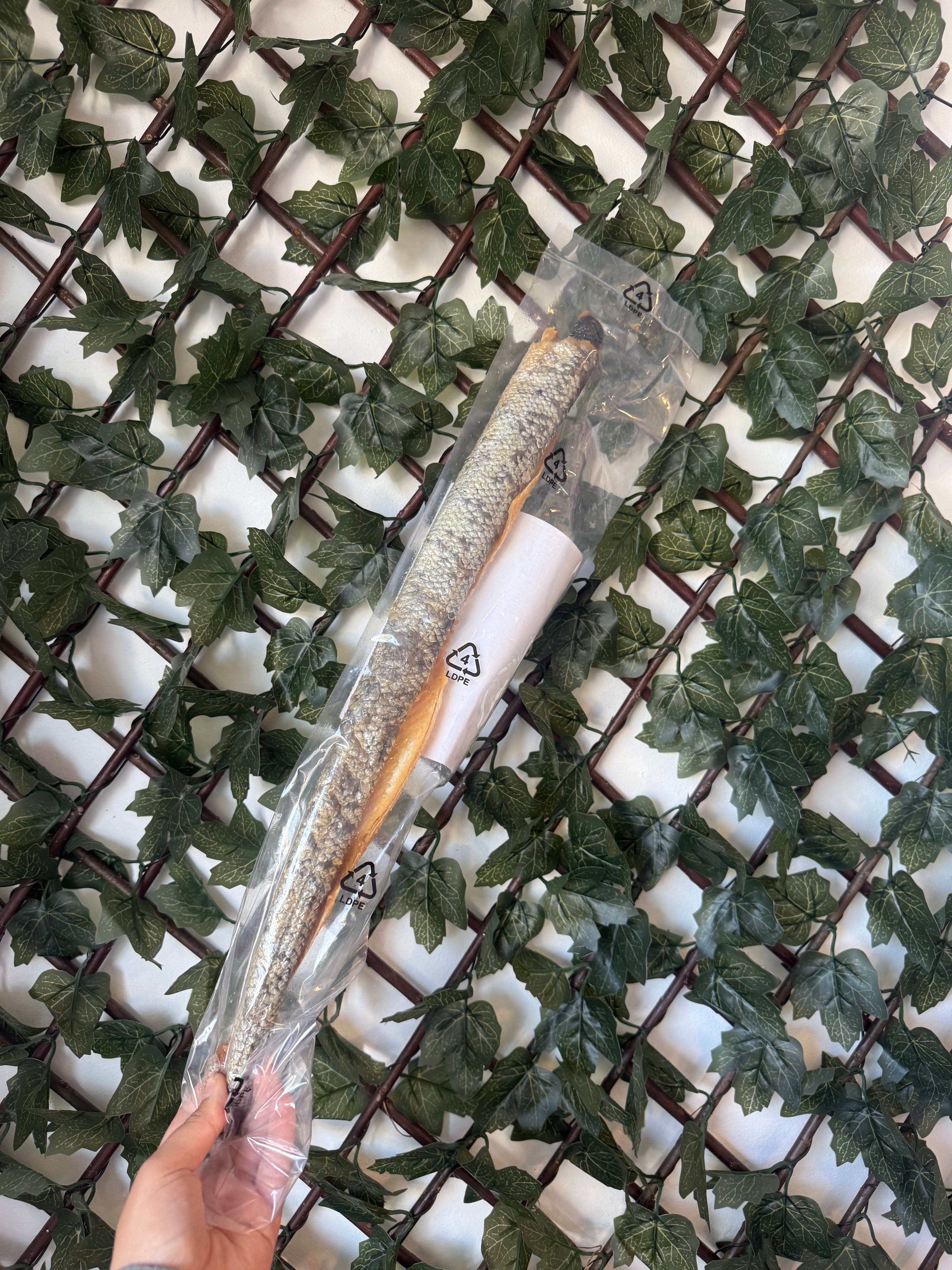 Peau de saumon sauvage avec chair – 35cm 🐟