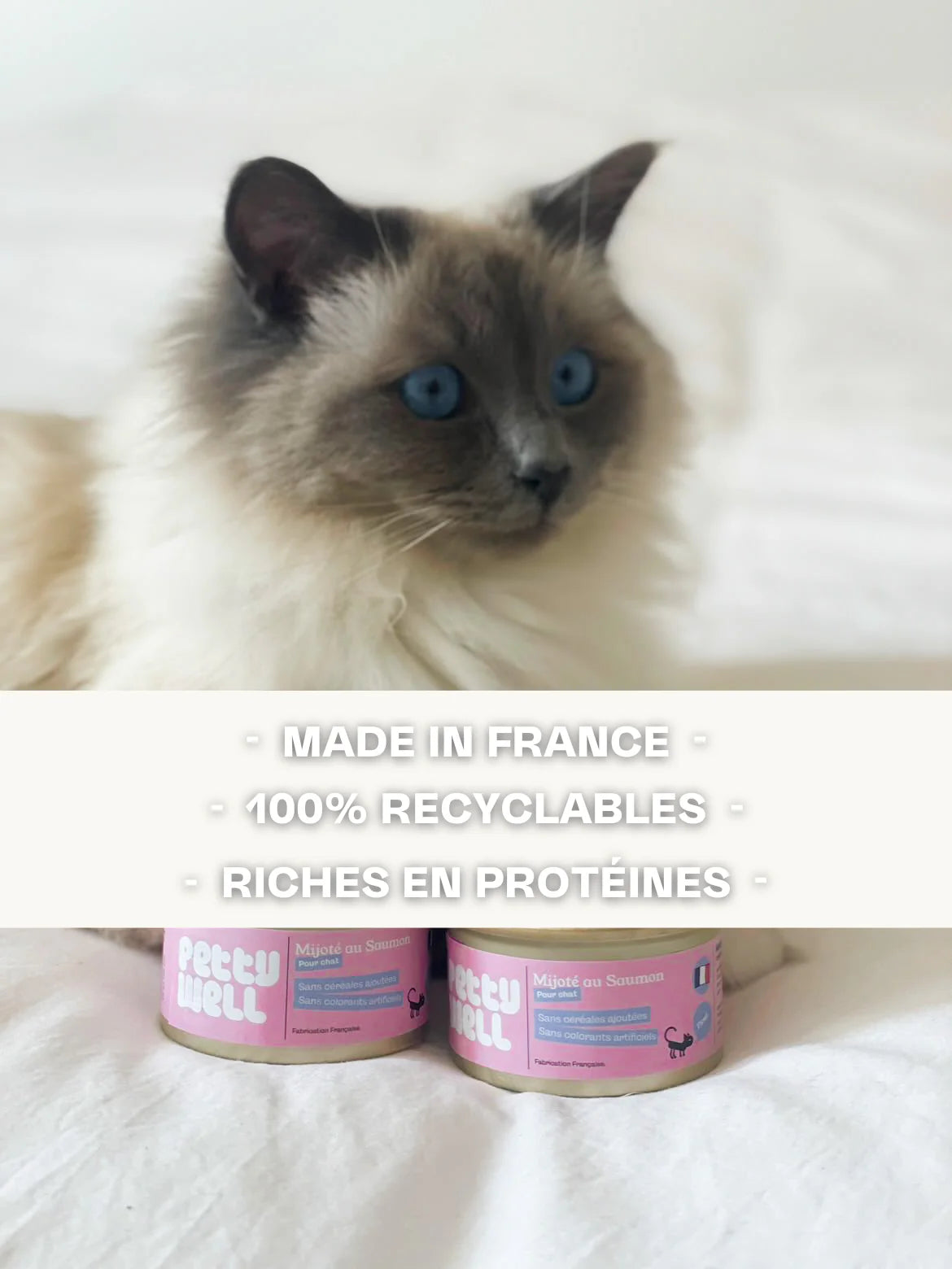 Pâtée Chat - Recette Saumon 80g