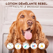 Lotion démêlante Rebel