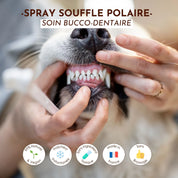 Spray buccal Souffle polaire