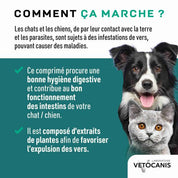 Comprimés contre les Vers intestinaux pour Chien et Chat à base d'extraits de plantes - x 30 comprimés