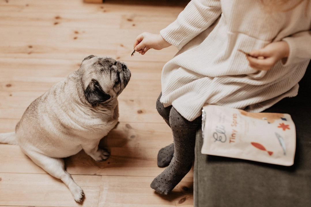 Gâteries pour chiens 100% naturelles aux sprats séchés