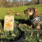 Happy Farm pour chien