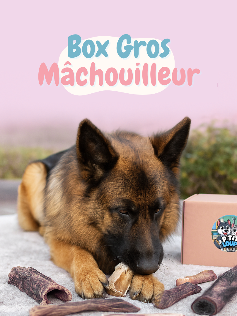 💪 Box Gros Mâchouilleur