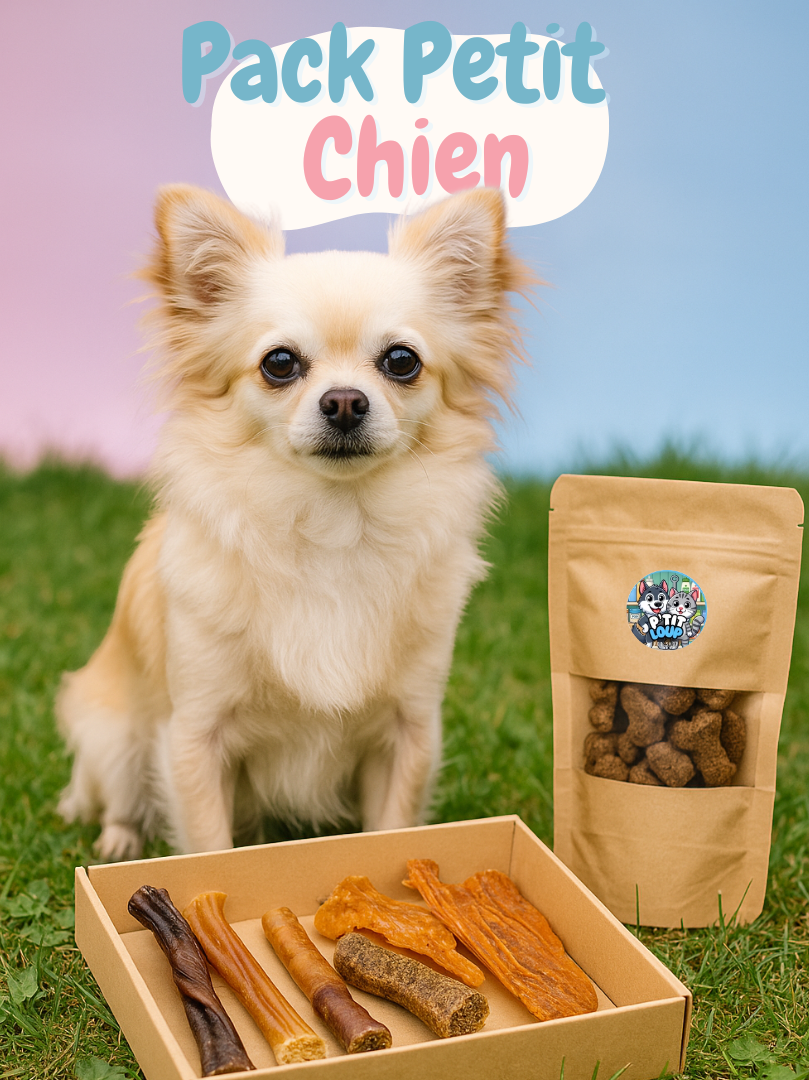 Pack Petit Chien 🐶