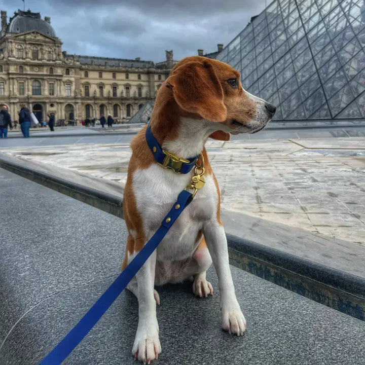 laisse bandoulière Patapouf