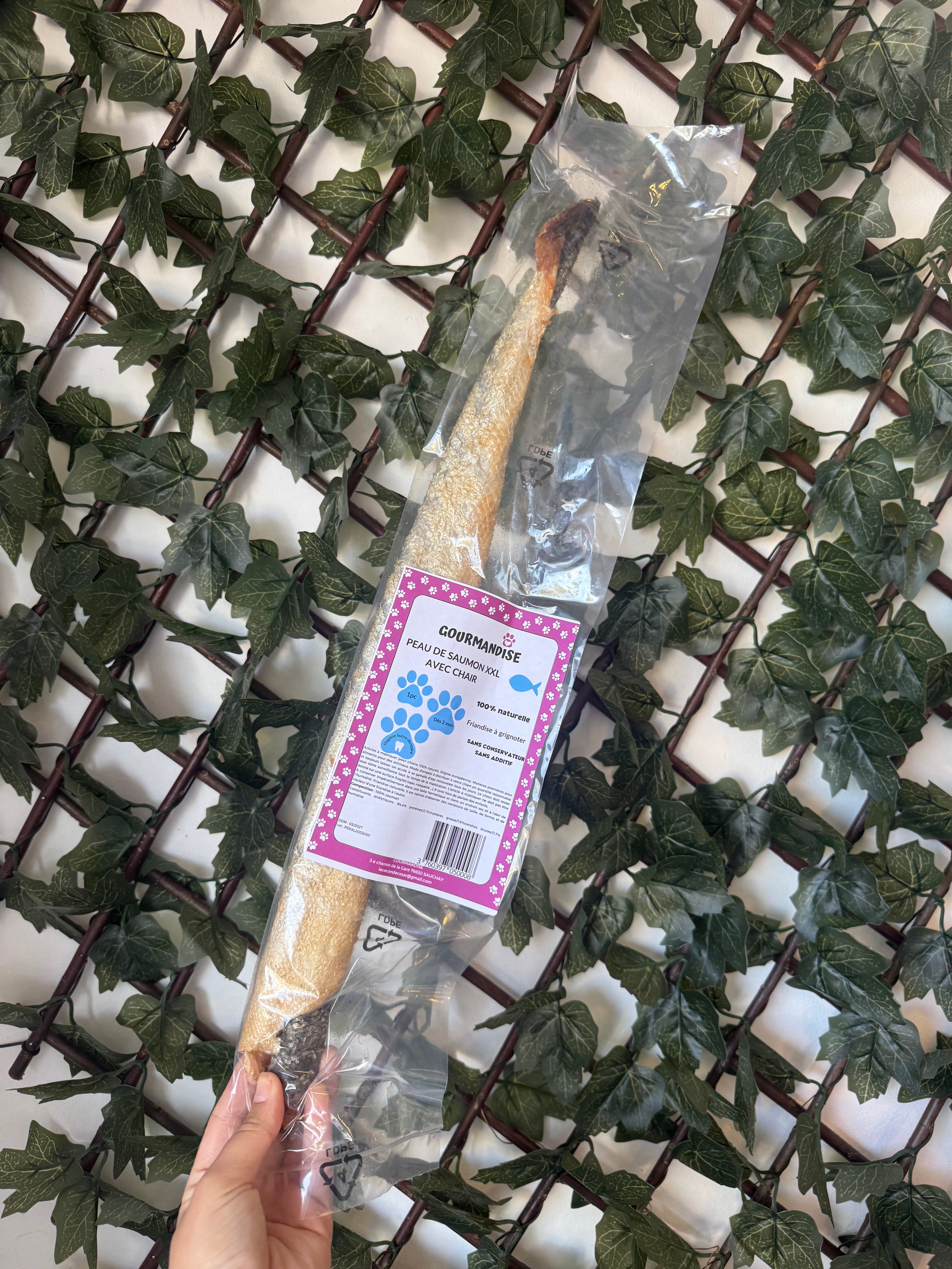 Peau de saumon sauvage avec chair – 35cm 🐟