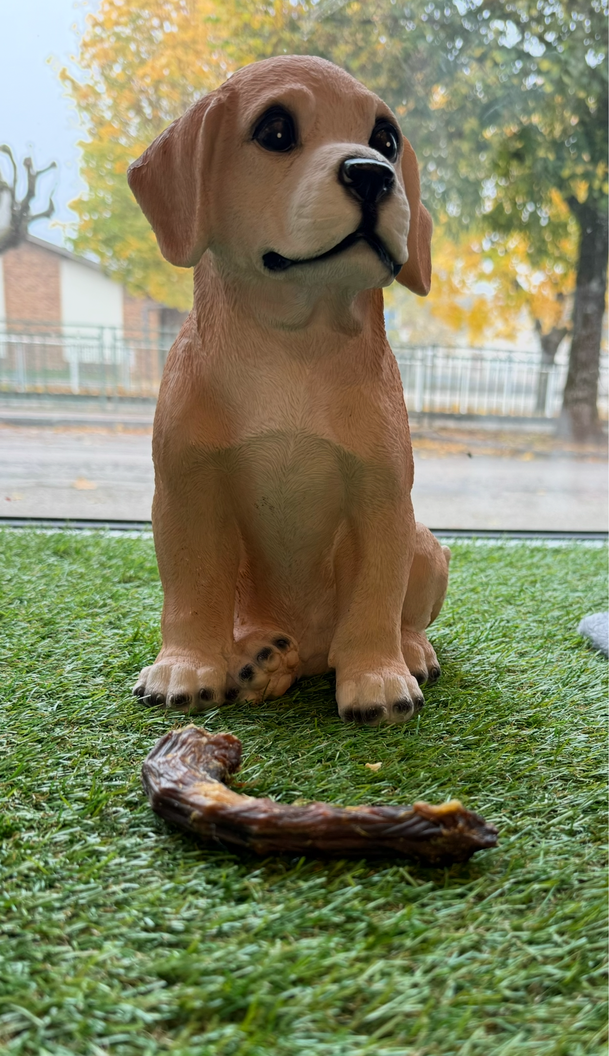 Cou de poulet