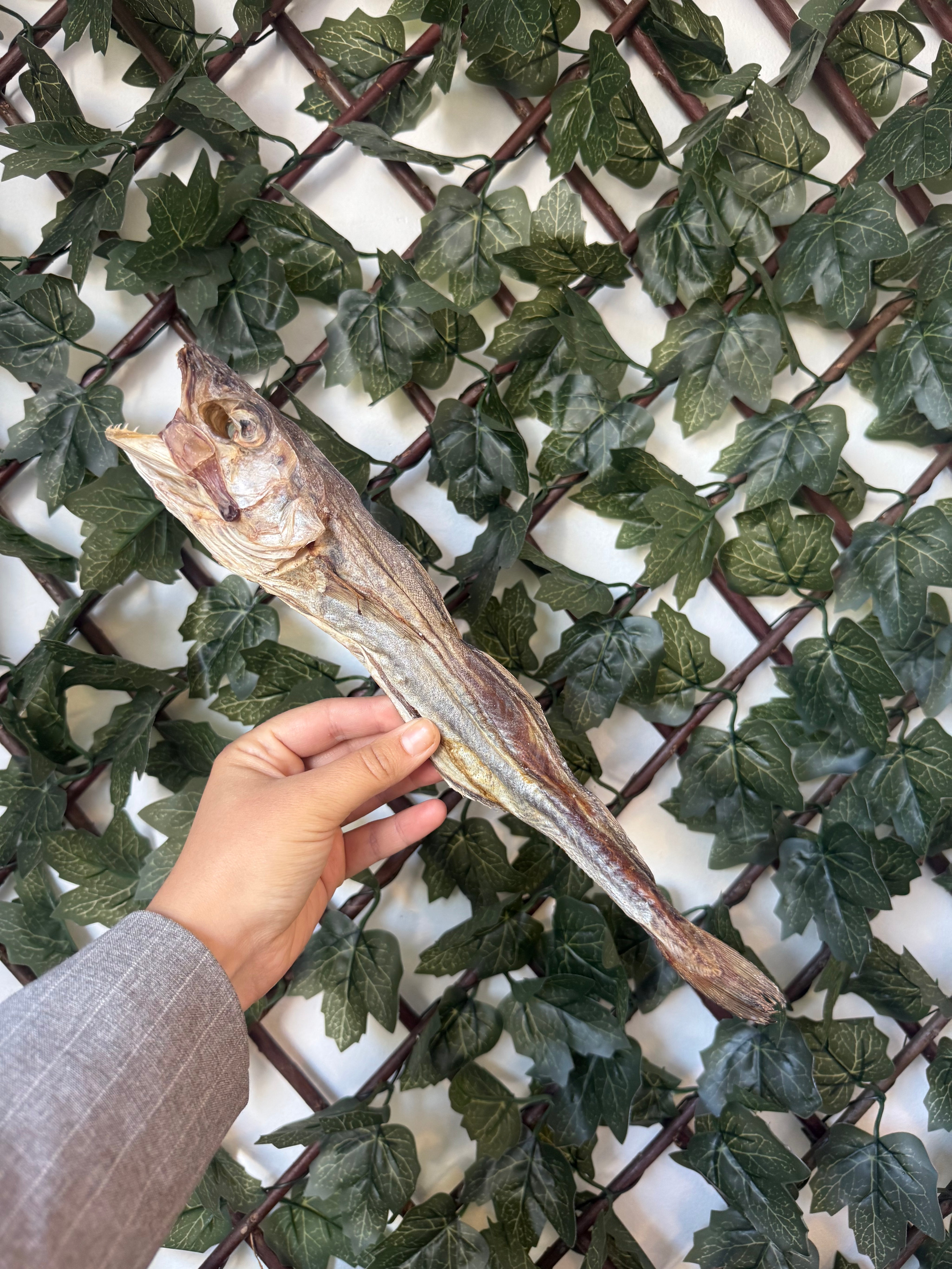 Merlan entier 🐟