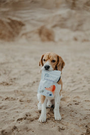 Gâteries pour chiens 100 % naturelles en cubes de peau de morue séchée