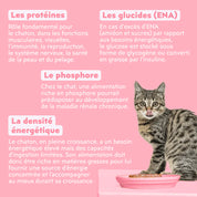 Pâtée Chaton Sans Céréales Truite